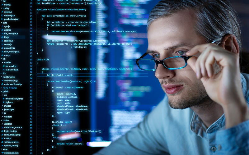 The Power of Custom Software Development