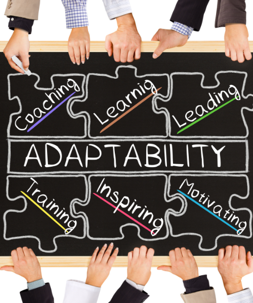 Adaptability